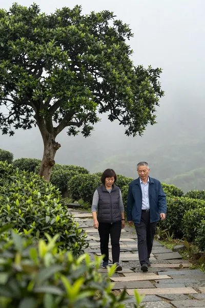 茶王赛千份茶样·中秋前的茶席争锋