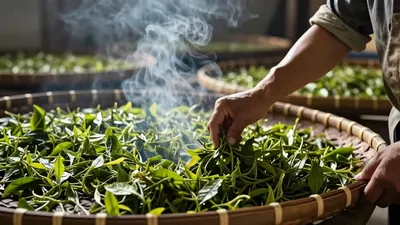 🍵 凤凰山800米蜜兰香：潮州老茶客的"心头好"，一喝就是三十年