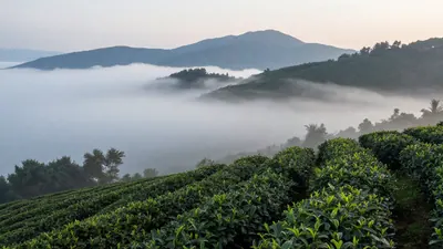 阿鳳姐講茶｜第140屆廣交會來了，外單復甦？師傅們點算